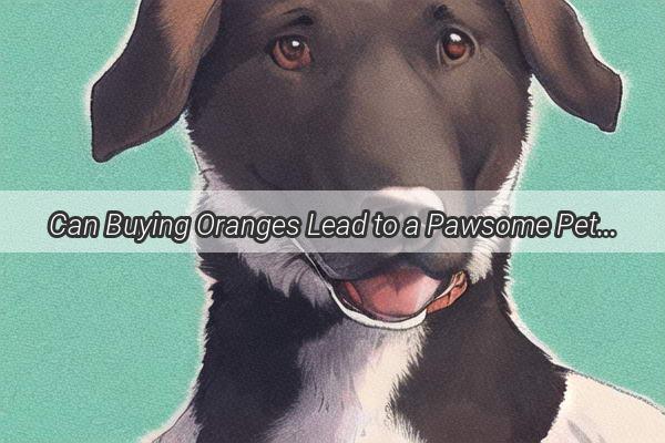 Can Buying Oranges Lead to a Pawsome Pet Ownership Adventure A Heartwarming Journey to Furry Friendships